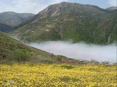 گلوگاه-روستایی-ییلاقی-شیخ-موسی-310956