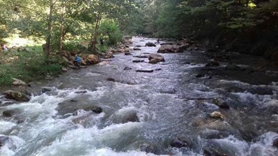 سواد-کوه-آبشار-ترز-311595