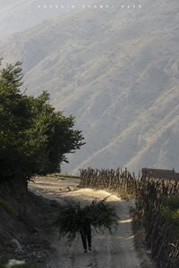 آمل-روستای-پایرمه-312257