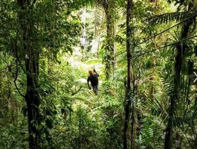سن-خوزه-جنگل-Rainforest-Adventures-Costa-Rica-Atlantic-Pass-سن-خوزه-312765
