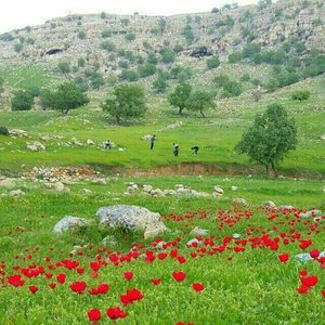دزفول-روستای-باغچه-بان-312868