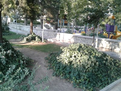 تهران-پارک-شطرنج-313039