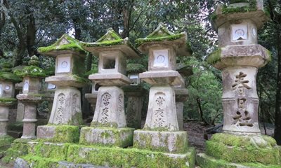 نارا-معبد-کاسوگای-نارا-Kasuga-taisha-313315
