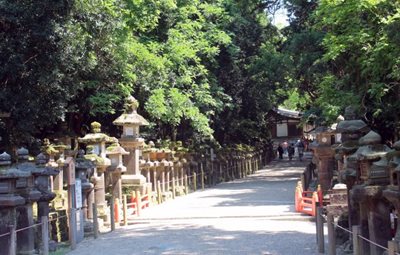 نارا-معبد-کاسوگای-نارا-Kasuga-taisha-313318