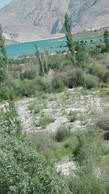 فیروزکوه-دریاچه-سد-نمرود-316521