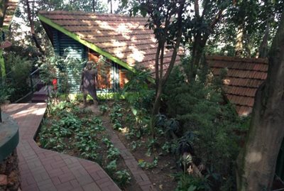 هتل خانه جنگلی کامپالا Forest Cottages