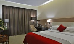 هتل سلطنتی تولیپ طنجه Royal Tulip City Center