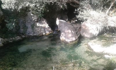 مارگون-آبشار-شهنیز-322126
