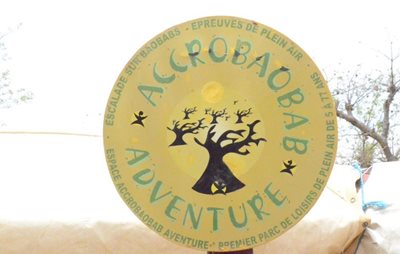 داکار-تم-پارک-ماجراجویی-آکروبائوباب-Accrobaobab-Adventure-322275