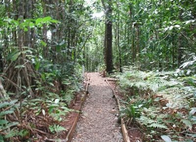 پارک جنگلی کولو آی سووا Colo-I-Suva Forest Park