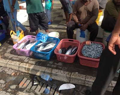 بازار ماهی ماله Male Fish Market