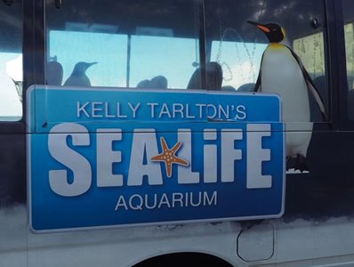 آوکلند-آکواریوم-حیات-دریایی-آوکلند-Kelly-Tarlton-s-Sea-Life-Aquarium-324986