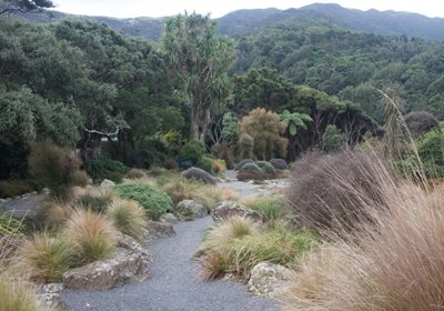 ولینگتون-باغ-گیاه-شناسی-ولینگتون-Otari-Wilton-s-Bush-Native-Botanic-Garden-325072