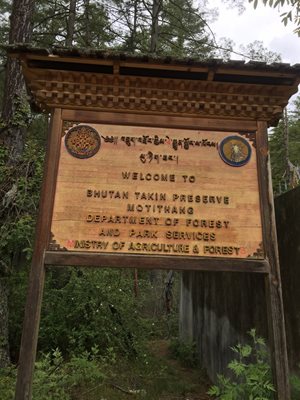 منطقه حفاظت شده موتیتان تیمفو Motithang Takin Preserve