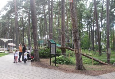 یورمالا-پارک-جنگلی-دزینتاری-یورمالا-Dzintari-Forest-Park-326688