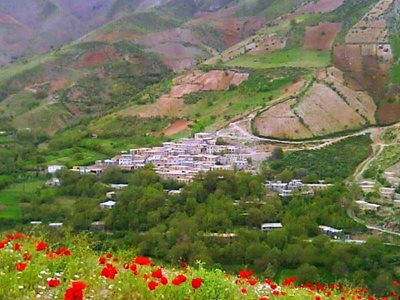 روستای آریان