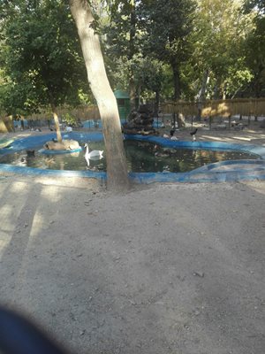 تهران-باغ-پرندگان-پارک-شهر-تهران-328244