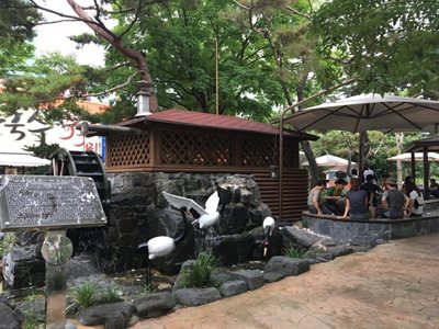 حوضچه آرامش بهار گرم Yuseong Hot Springs