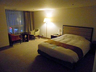 دایجونگ-هتل-ریورا-Hotel-Riviera-Daejeon-328465