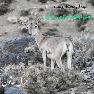 بوانات-اردوگاه-گردشگری-غزال-خاتون-330317