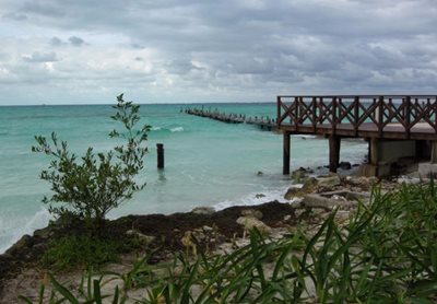 کانکون-ساحل-تورتگوس-Playa-Tortugas-332135