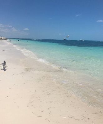 کانکون-ساحل-تورتگوس-Playa-Tortugas-332136