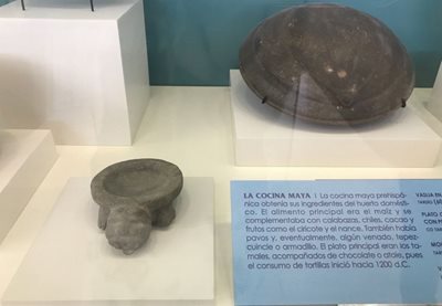 کانکون-موزه-مایا-د-کانکون-Museo-Maya-de-Cancun-332158