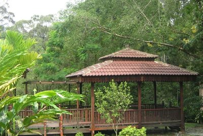 پتالینگ-جایا-باغ-گیاه-شناسی-و-تحقیقات-جنگلی-مالزی-Forest-Research-Institute-of-Malaysia-332316