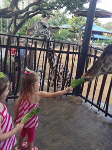 هیوستون-باغ-وحش-هیوستون-Houston-Zoo-332614