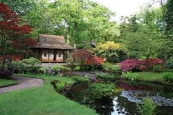 باغ ژاپنی Japanese Garden