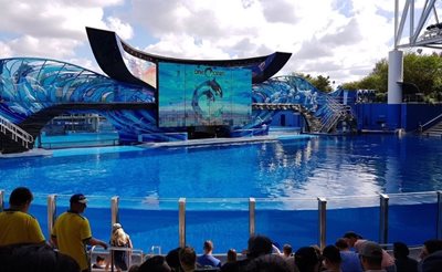 اورلاندو-تم-پارک-سی-ورلد-اورلاندو-SeaWorld-Orlando-337234