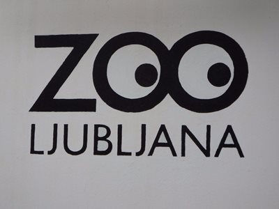 لیوبلیانا-باغ-وحش-لیوبلیانا-Zoo-Ljubljana-340824