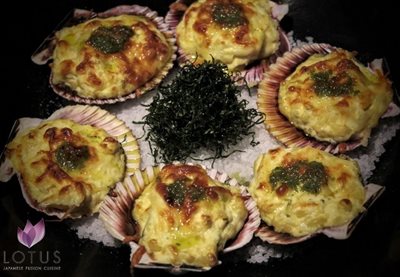 رستوران لوتوس ژاپنیز Lotus Japanese Fusion Cuisine