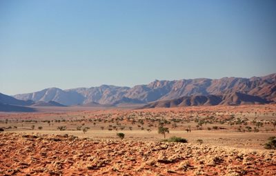 ویندهوک-صحرای-نامیبیا-NamibRand-Nature-Reserve-352008