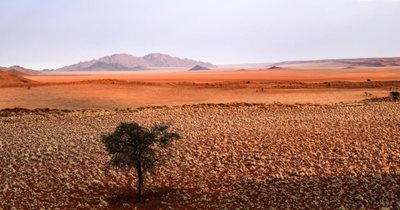 ویندهوک-صحرای-نامیبیا-NamibRand-Nature-Reserve-352009