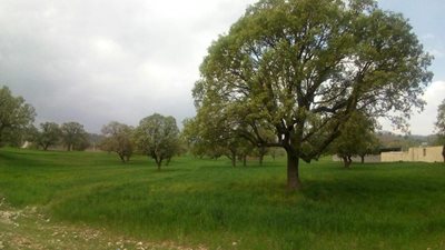 لردگان-روستای-بارز-353690