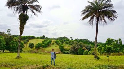 مونروویا-مزارع-وولکی-Wulki-farms-353831