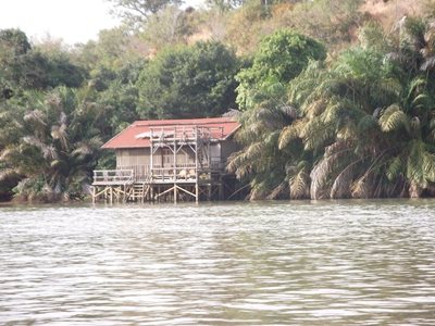 بانجول-رودخانه-پارک-ملی-گامبیا-River-Gambia-National-Park-355878