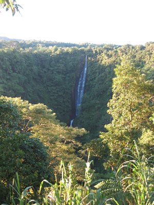 آپیا-آبشار-آپیا-Papapapaitai-Falls-356504