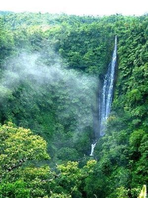 آپیا-آبشار-آپیا-Papapapaitai-Falls-356502