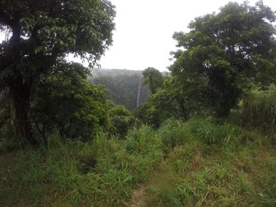 آپیا-آبشار-آپیا-Papapapaitai-Falls-356505