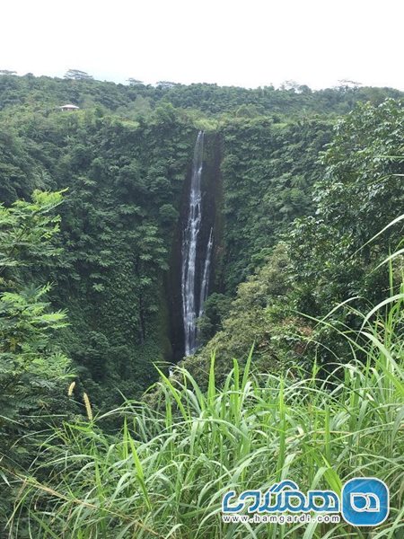 آبشار آپیا Papapapaitai Falls