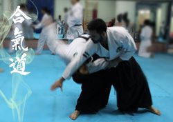 آموزش رزمی آی کی دو در تهران (دفاع شخصی ژاپن)