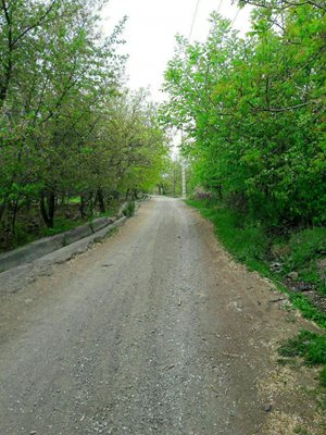 باخرز-روستای-ارخود-359439