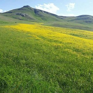 خلخال-روستای-خمس-359676