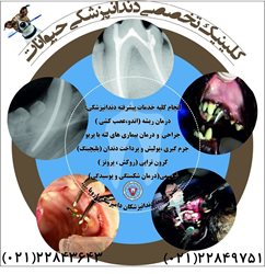 دندانپزشکی حیوانات دکتر سهیل هاشمی