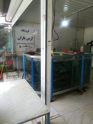 ارومیه-ماهی-فروشی-ارس-باران-361475