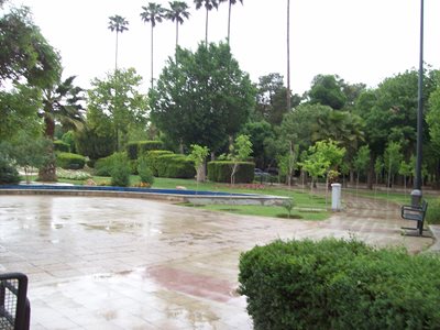 شیراز-پارک-آزادی-شیراز-361812