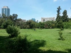 باغ هراره Harare Gardens