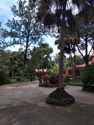 گواتمالاسیتی-باغ-وحش-آورورا-La-Aurora-Zoo-370574